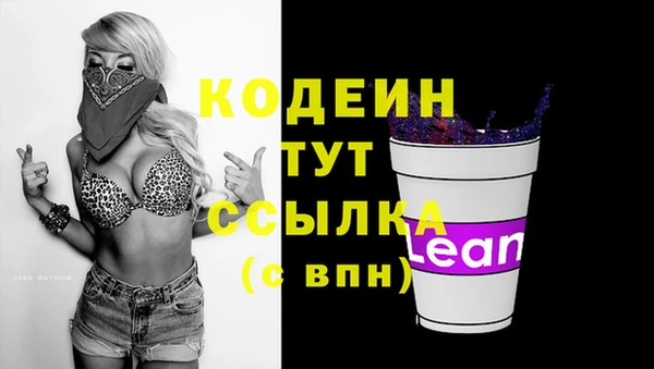 молекула духа Вяземский