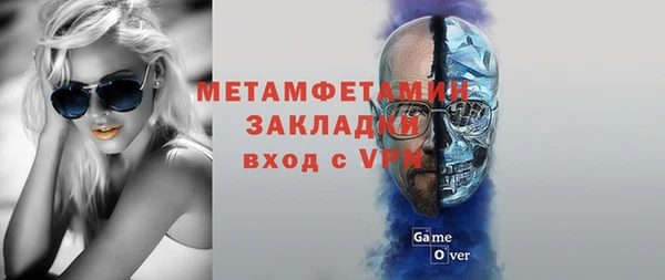 молекула духа Вяземский