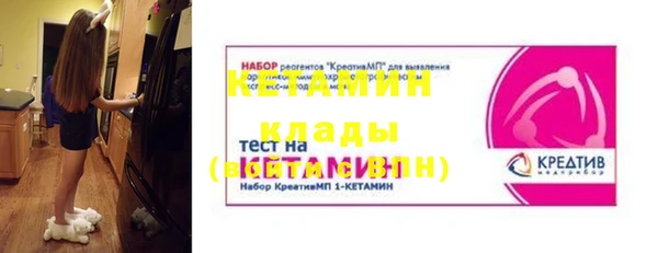 молекула духа Вяземский