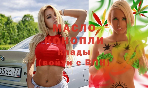 молекула духа Вяземский