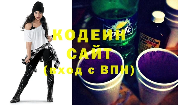 молекула духа Вяземский