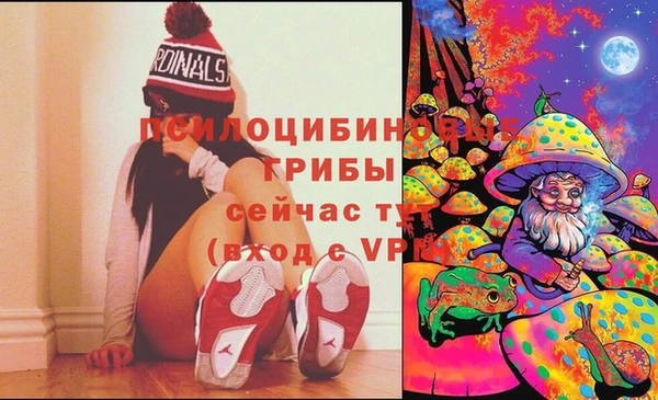 молекула духа Вяземский