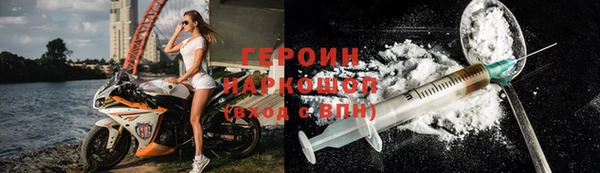 молекула духа Вяземский