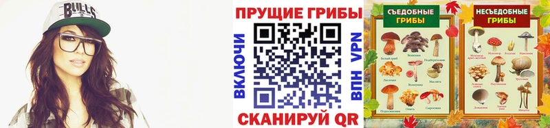 Купить закладки  Октябрьский  Галлюциногенные грибы ЛСД 